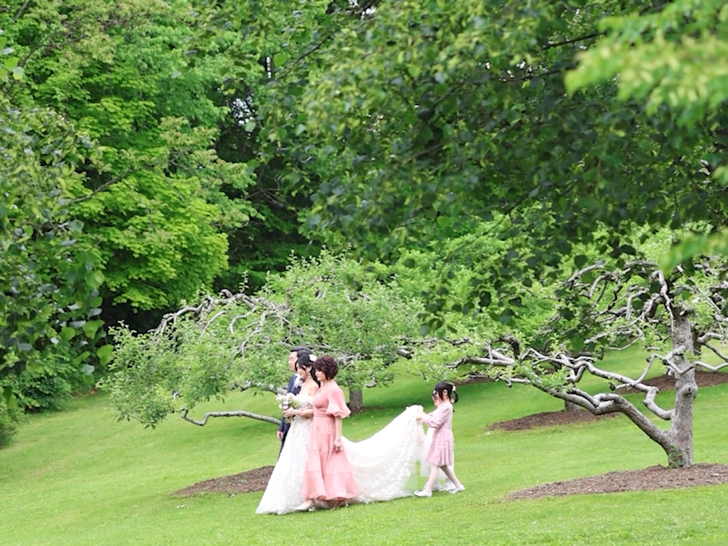 VIDEO MARIAGE ROUMAIN_Sub_01,00.00_01_04_18.Still028
